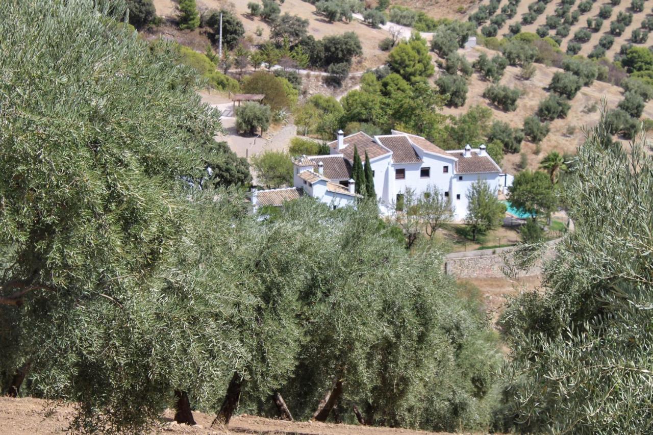 Pensjonat Cortijo La Fe Montefrío Zewnętrze zdjęcie