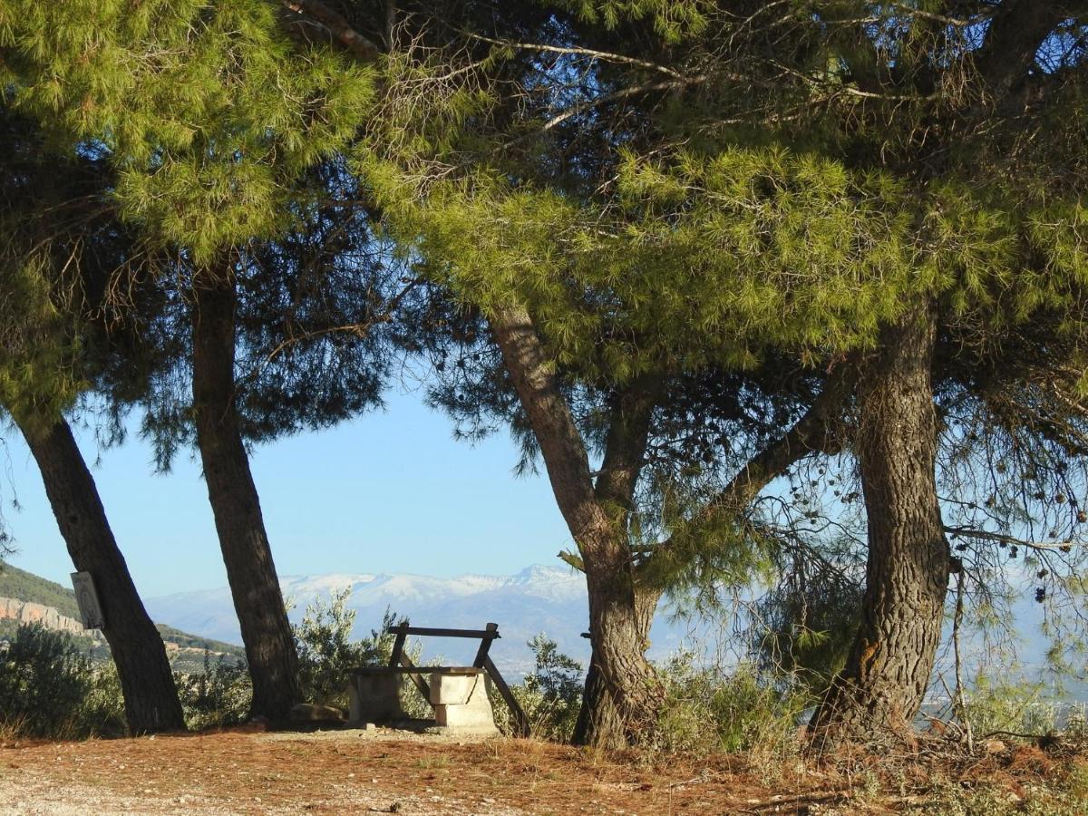 Pensjonat Cortijo La Fe Montefrío Zewnętrze zdjęcie