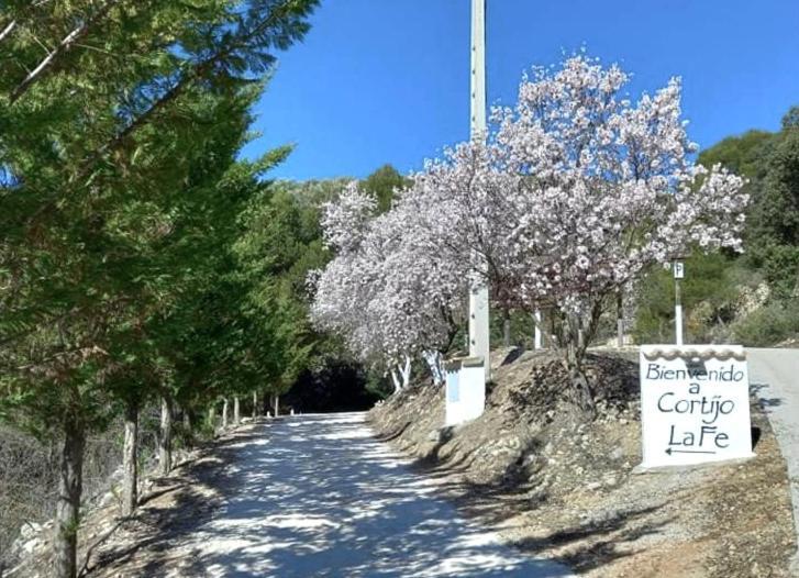Pensjonat Cortijo La Fe Montefrío Zewnętrze zdjęcie
