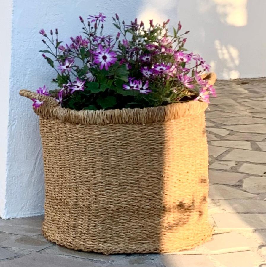 Pensjonat Cortijo La Fe Montefrío Zewnętrze zdjęcie