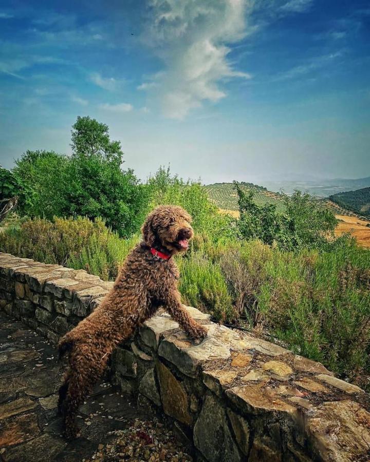 Pensjonat Cortijo La Fe Montefrío Zewnętrze zdjęcie