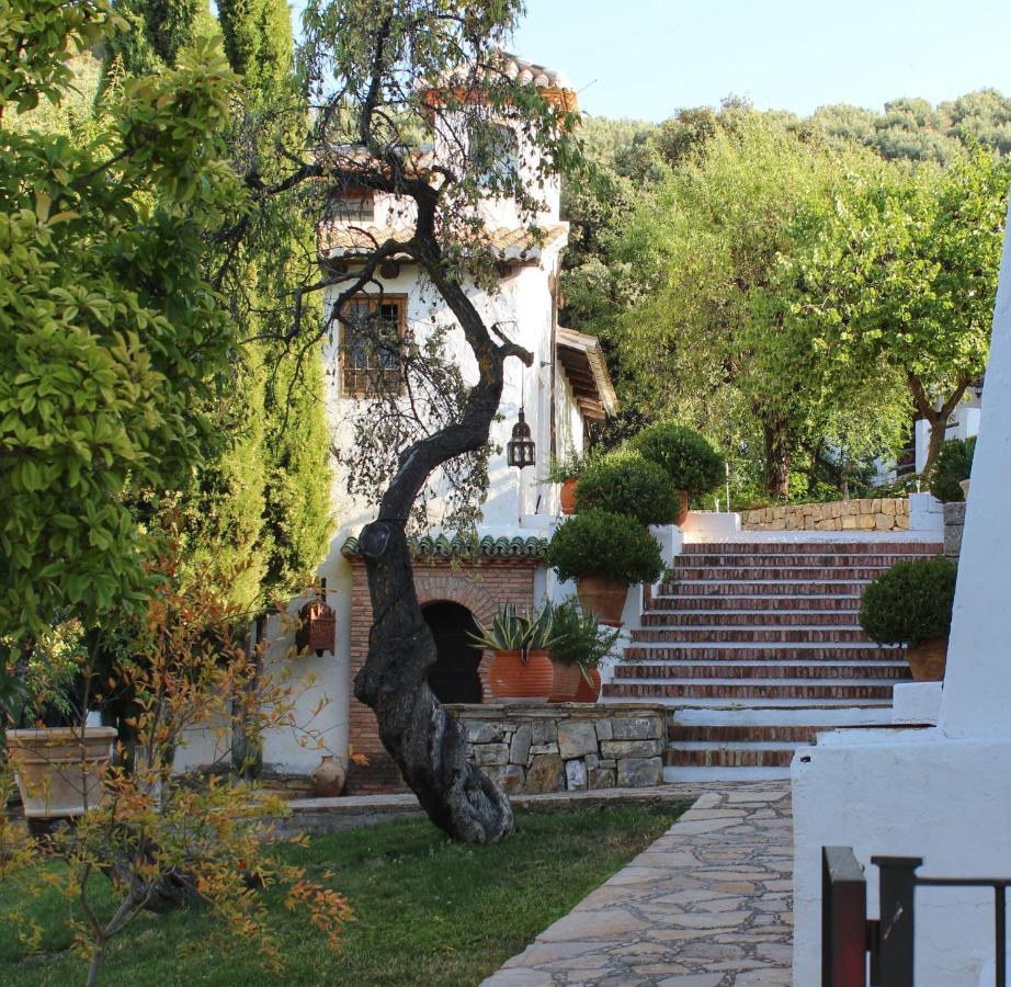 Pensjonat Cortijo La Fe Montefrío Zewnętrze zdjęcie