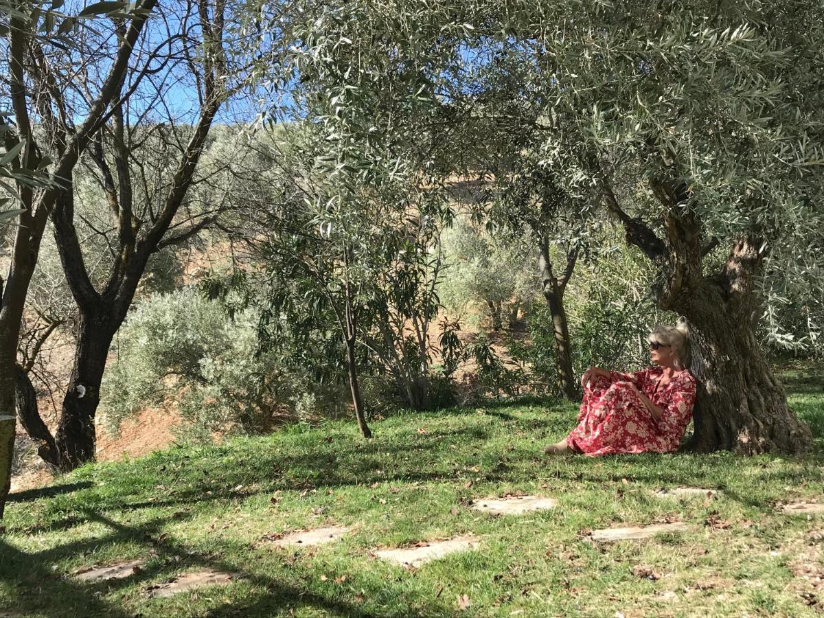 Pensjonat Cortijo La Fe Montefrío Zewnętrze zdjęcie