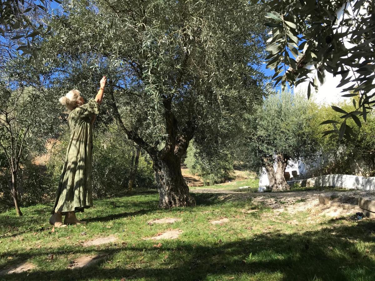 Pensjonat Cortijo La Fe Montefrío Zewnętrze zdjęcie